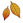 fallen_leaf
