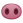 pig_nose